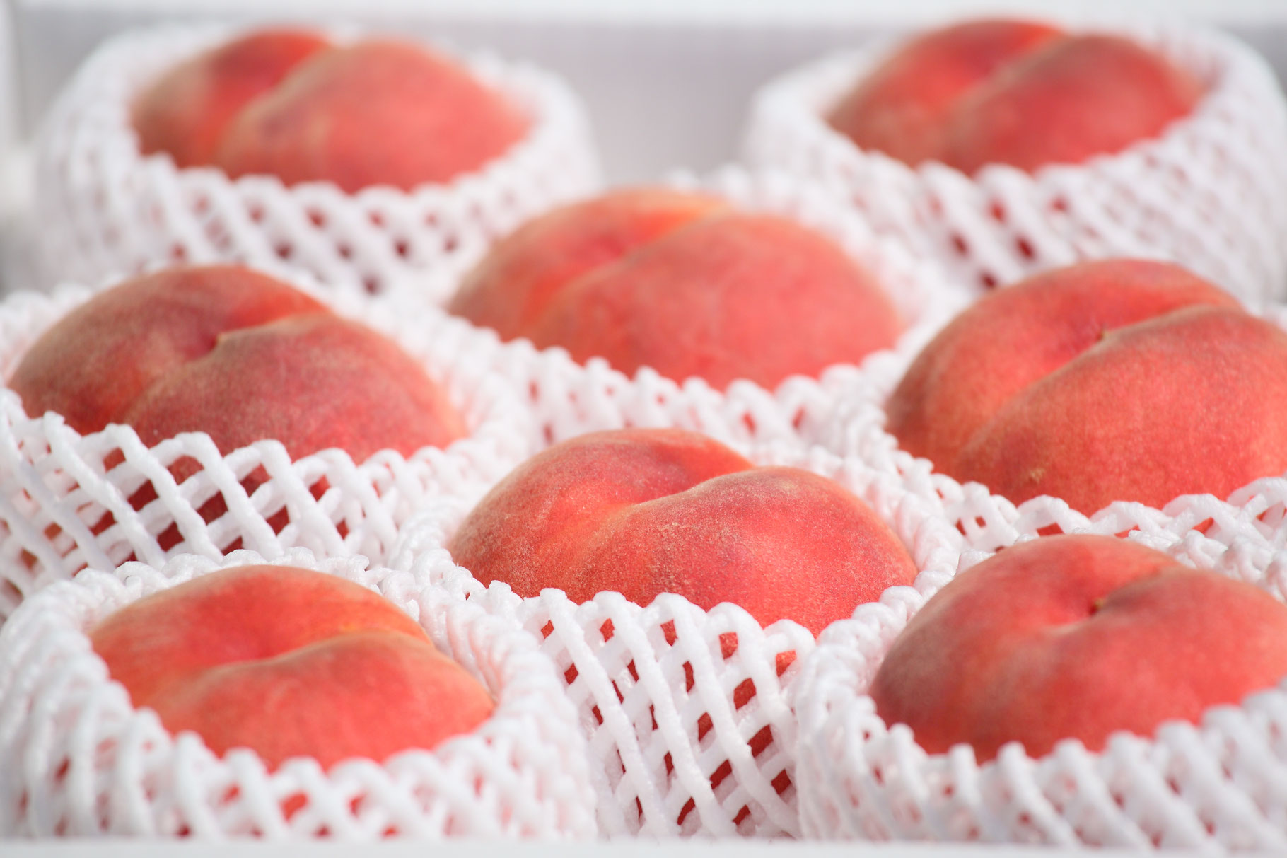 はつひめ - 株式会社ABE Fruit（ABE果樹園）オフィシャルサイト
