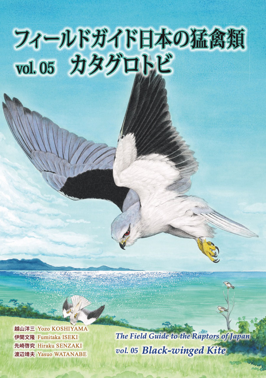 猛禽類、ハト、水鳥マニュアル 猛禽類ハト水鳥マニュアル | ピ-タ- H.ベイノン |本 | 通販 | Amazon