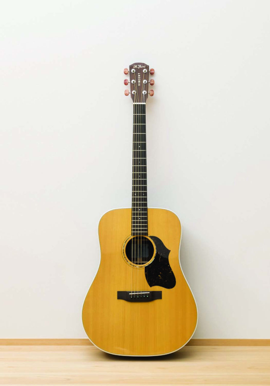 VD-110 - VINCENT - guitar & others - VD-110 - VINCENT - guitar & others -