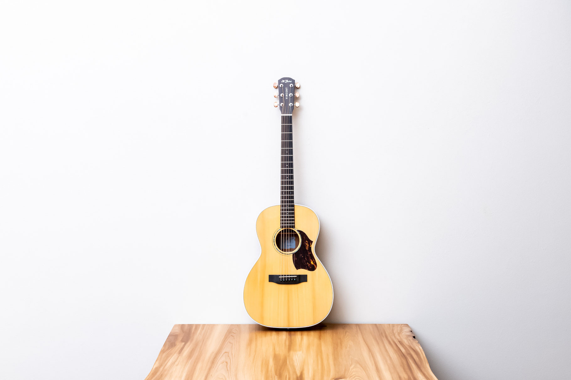 VN-3 STD - VINCENT - guitar & others -