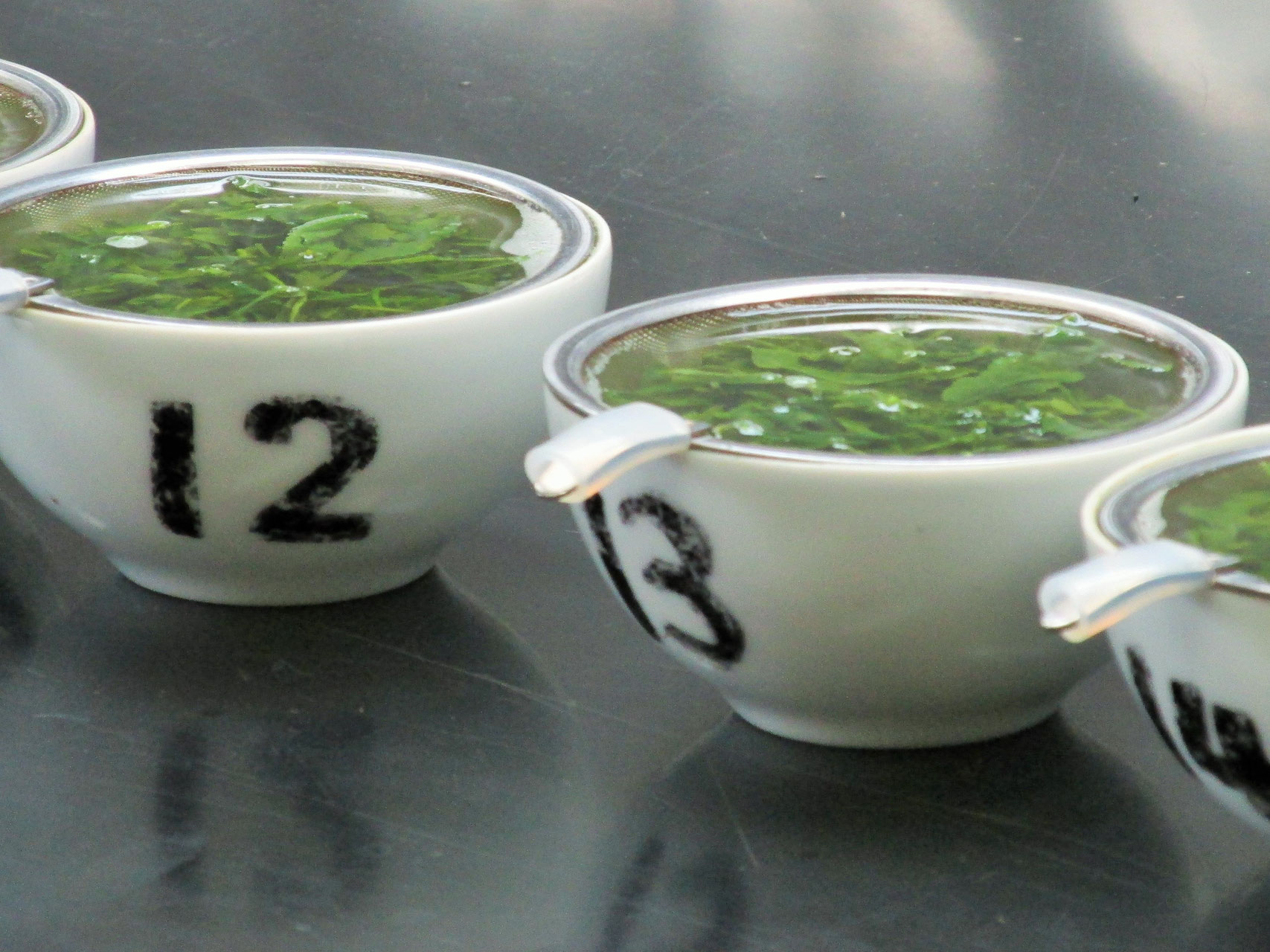 飲み比べセット - 品種のお茶専門店 心向樹 日本茶 品種茶 通販 web