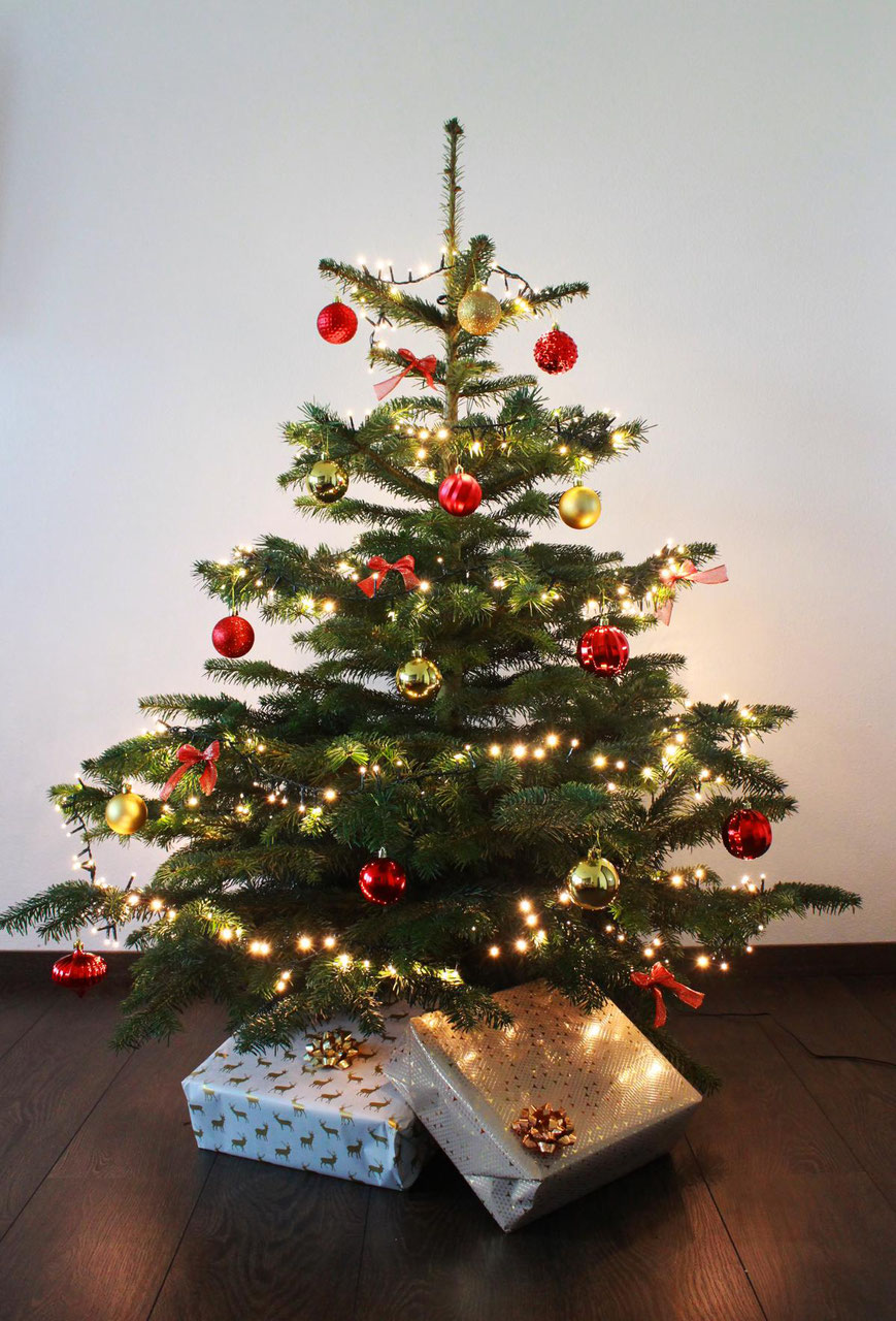 Die Traditionelle - Echte fertig geschmückte Weihnachtsbäume 