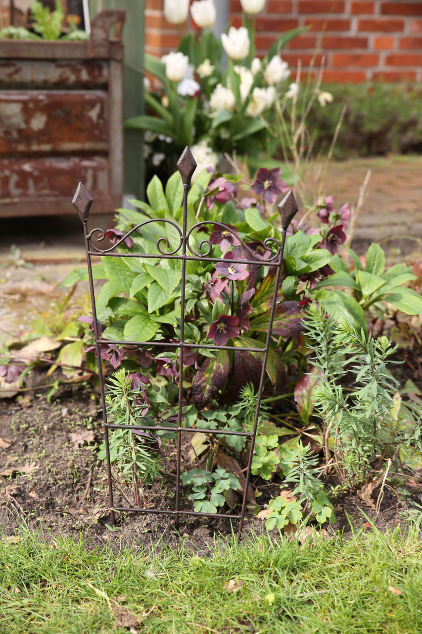 Rankhilfen, Rankgitter und Beetbegrenzung Der Kräuterzwerg