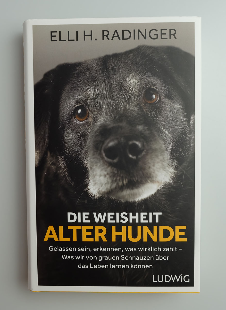 Tiere Wir Tschuna S Traumfabrik