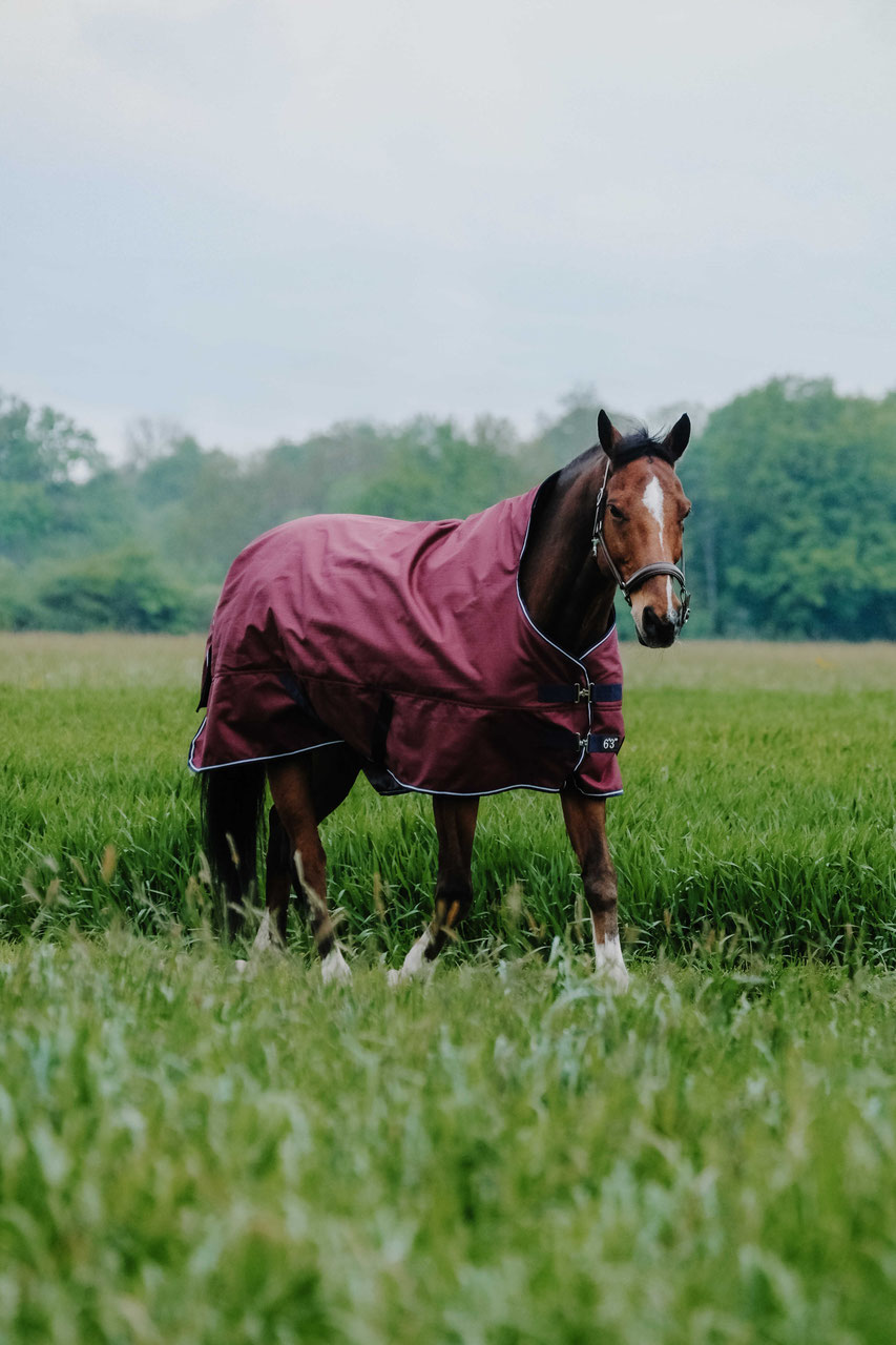 Waldhausen　145　厚馬衣　200g　馬着　ターンアウト　乗馬用品 Equi-Theme クラシックターンアウトラグ-1200D/200gアウターラグ | 馬