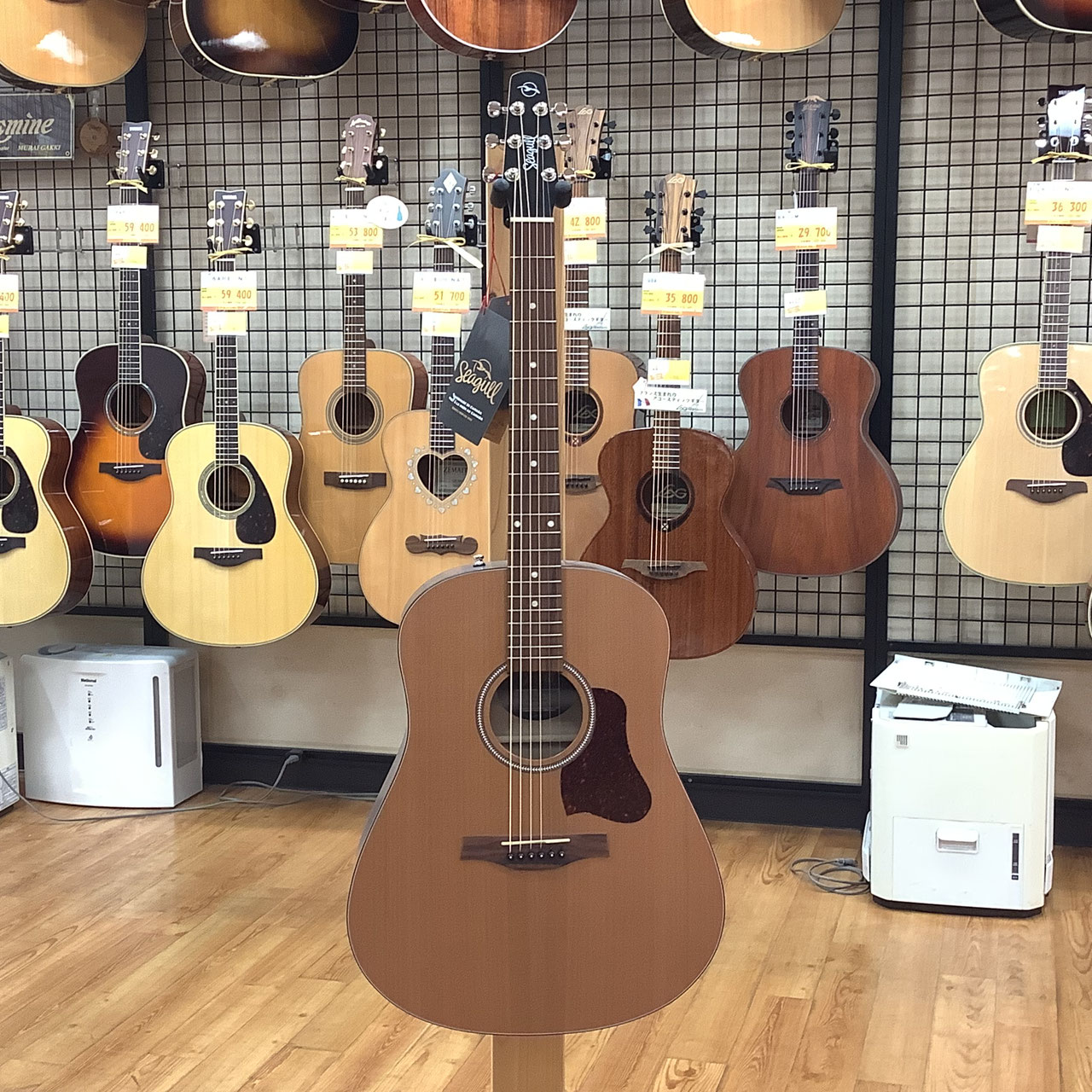 アコースティックギター - 村井楽器 小牧店
