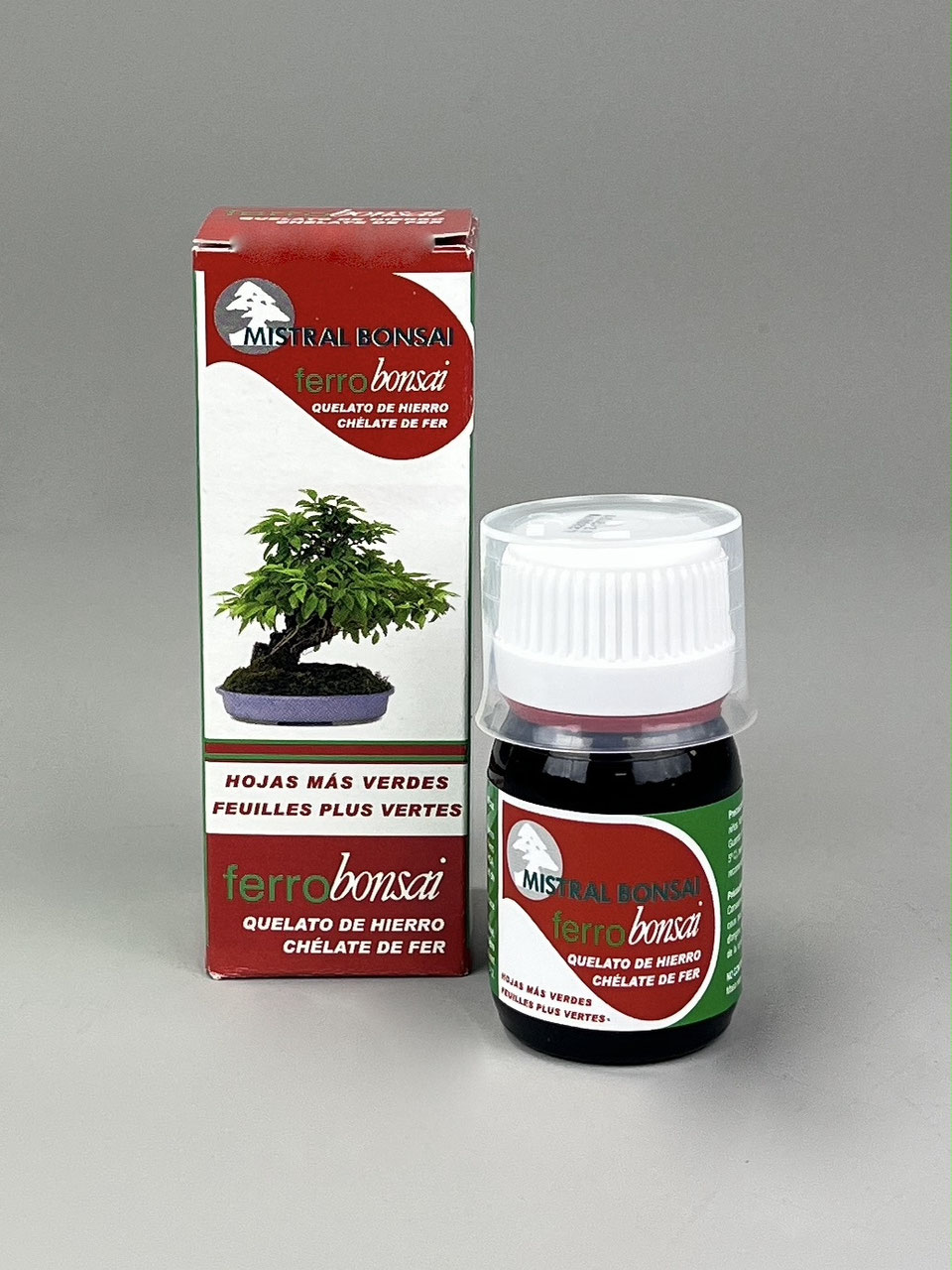 bonsai pflanzset Bonsai Starter Kit inkl. eBook main image 1