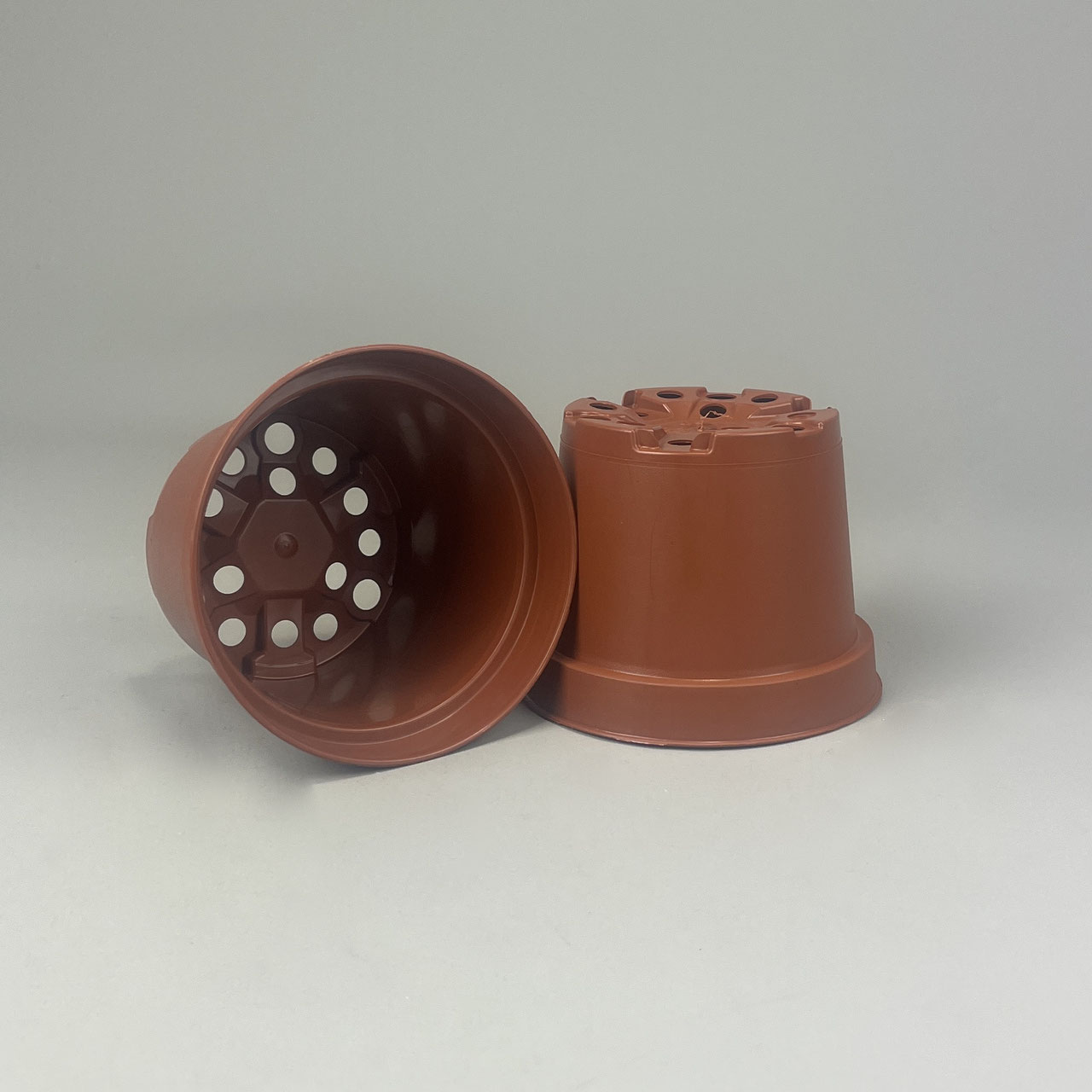 bonsai anzucht aus samen Bonsai Anzuchtset kaufen ➤ Handmade & Plastikfrei