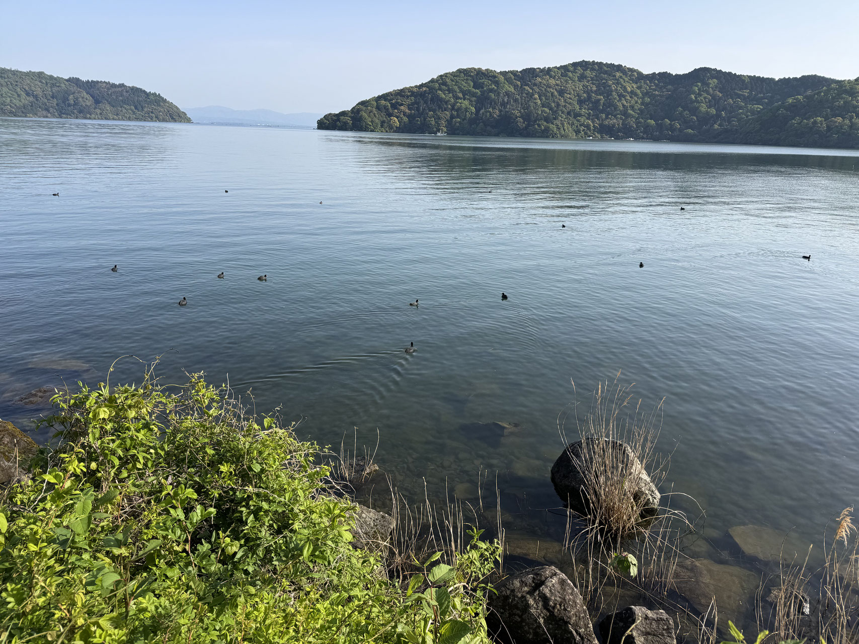 第2回琵琶湖1周200kmウルトラウォーキング2026 - アクトレップ