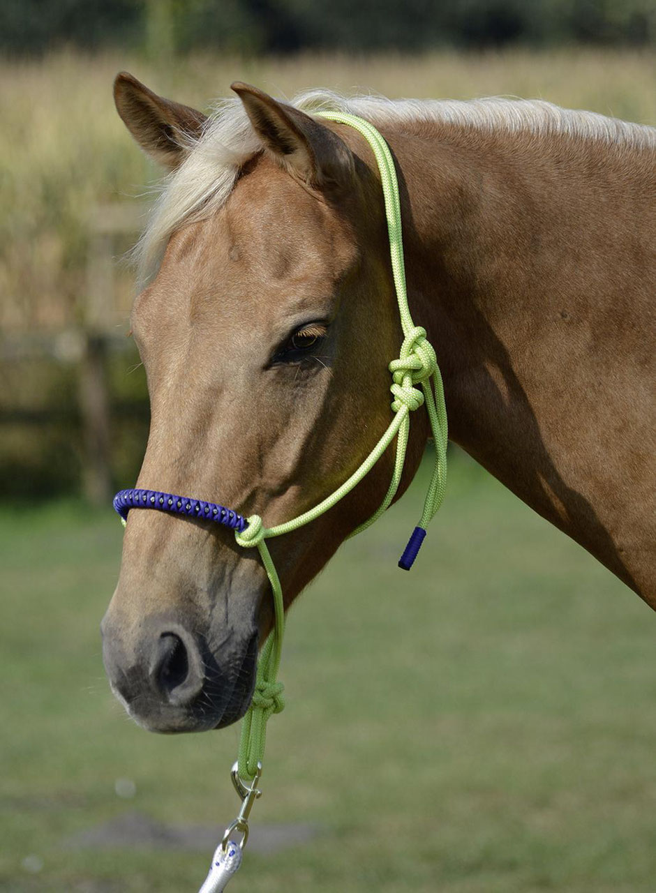 Pony//Vollblut Busse Knotenhalfter Standard Tanne