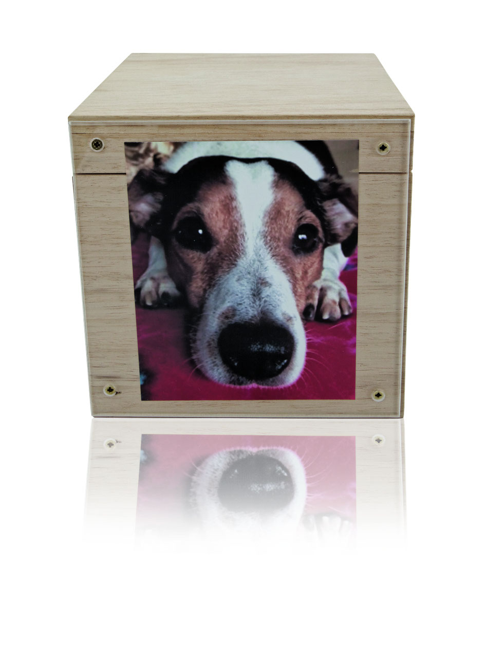 holzurne hund