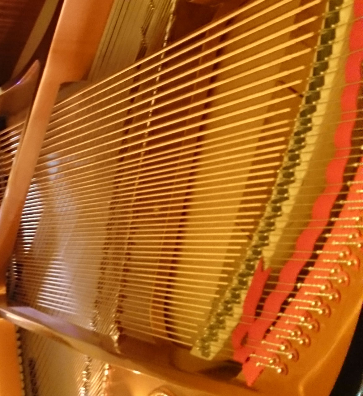 Taller Online (4 horas) holistic-therapeutic-resos Webseite!