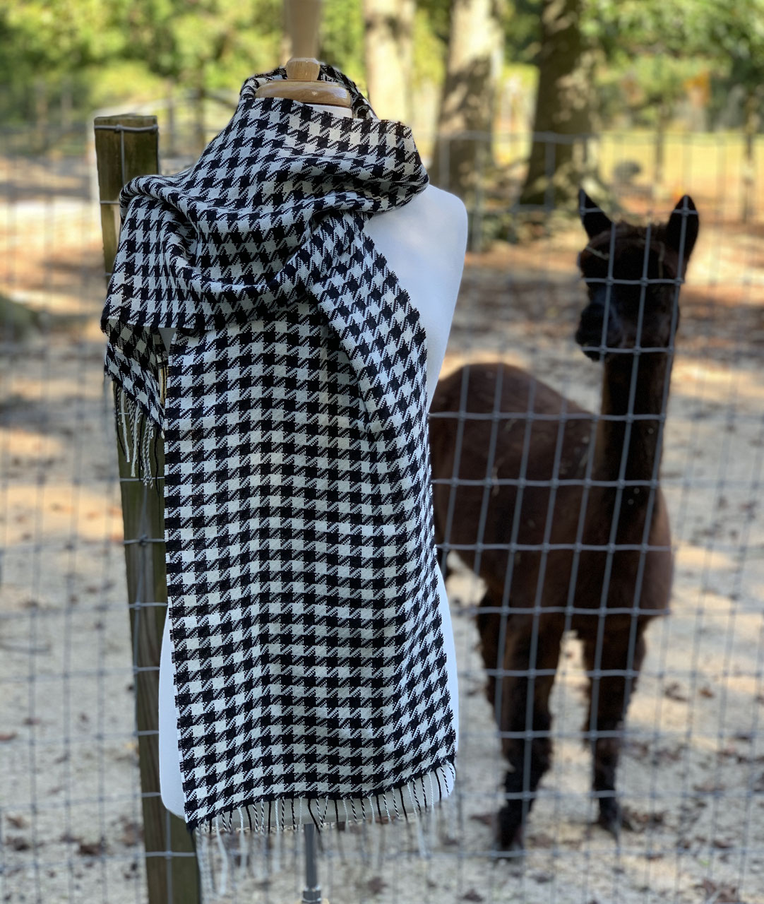 Scarves - Jersey Shore Alpacas - Fleece and Fun for Everyone! Scarves - Jersey Shore Alpacas - Fleece and Fun for Everyone!