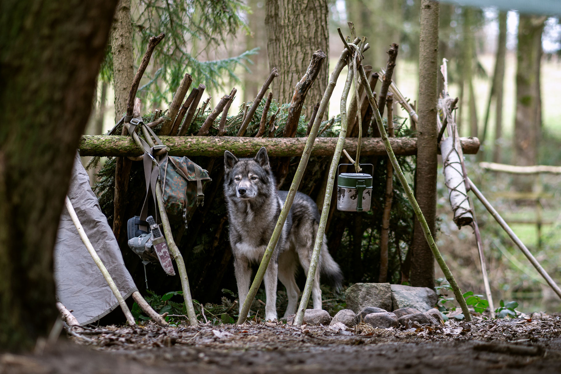 Shop - Erlebnisse mit Hund - Taffe Tölen - Hundeerlebnistraining