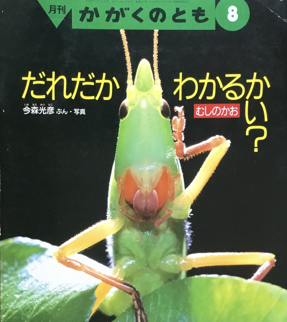 洋書　MANTODEA カマキリ 洋書 MANTODEA カマキリ