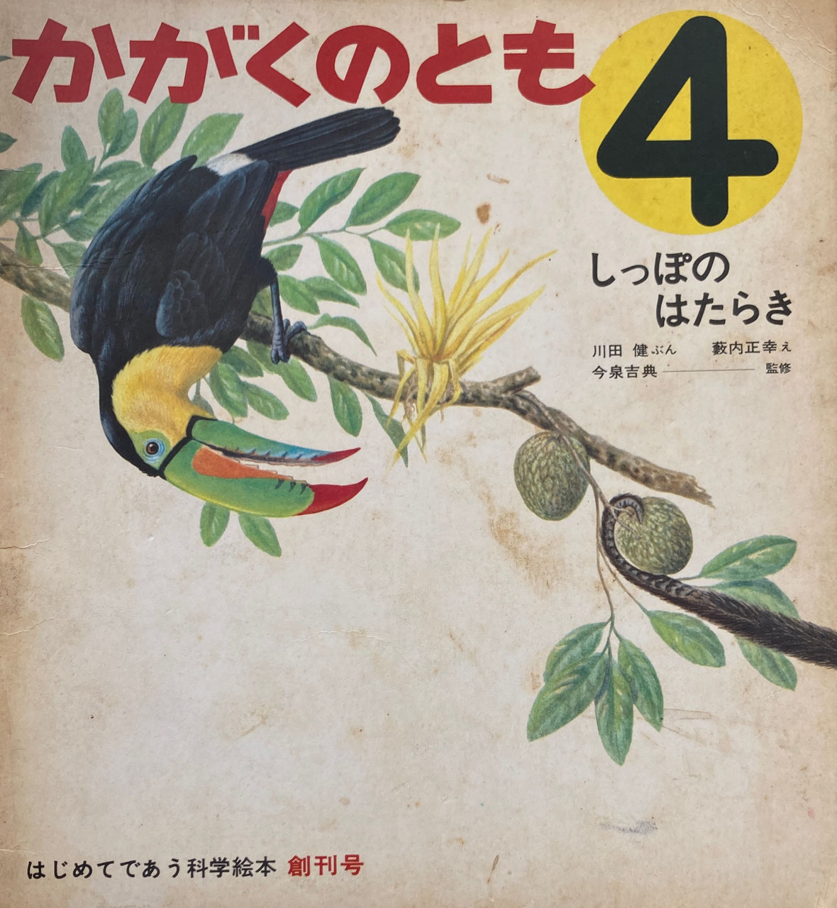 新刊・古書　newused　books　かがくのとも　販売・買取　1~50号　vintage