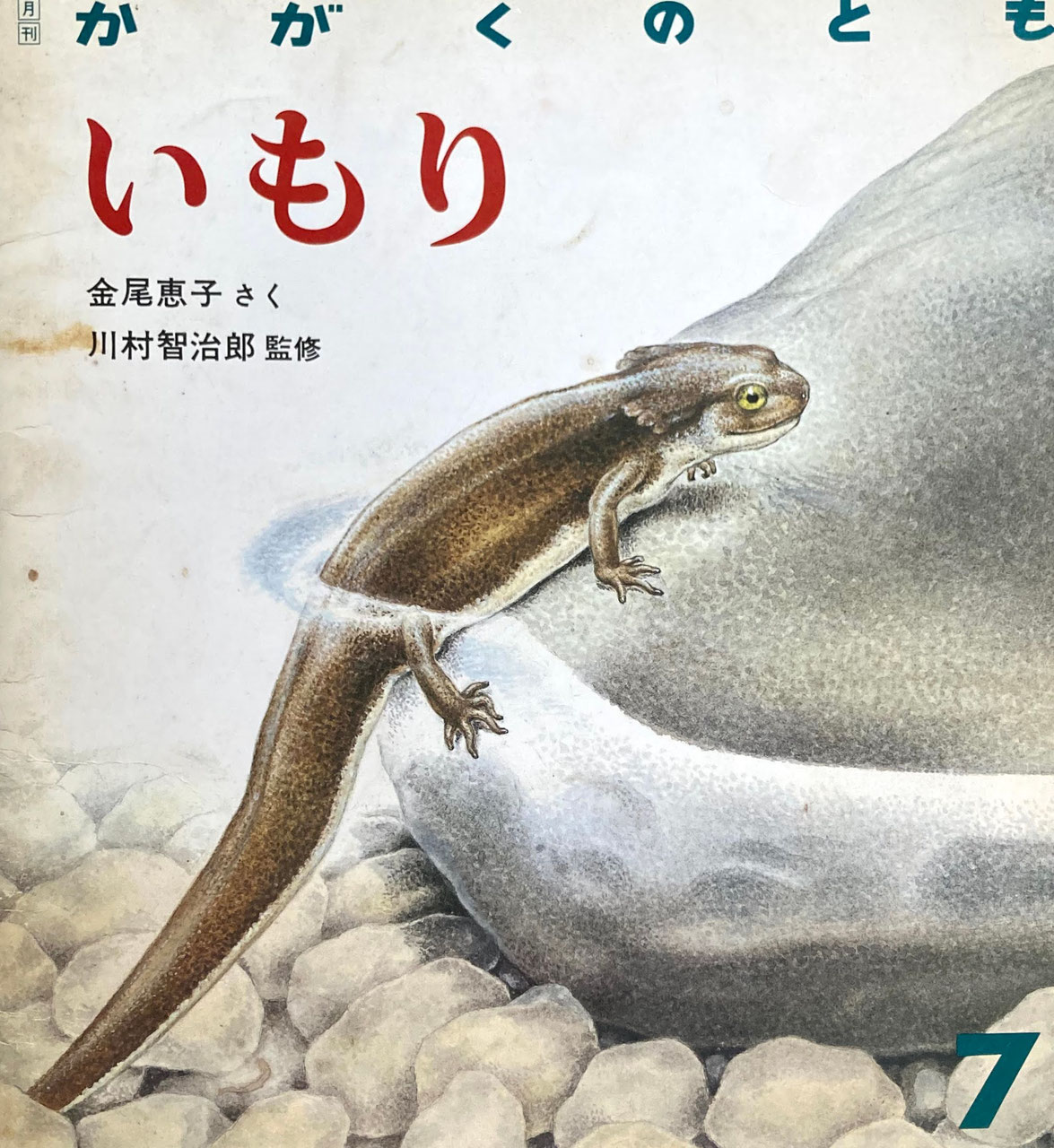 かがくのとも　まとめて20冊　昭和レトロ かがくのとも 2023年3月号 (発売日2023年02月03日) | 雑誌/定期
