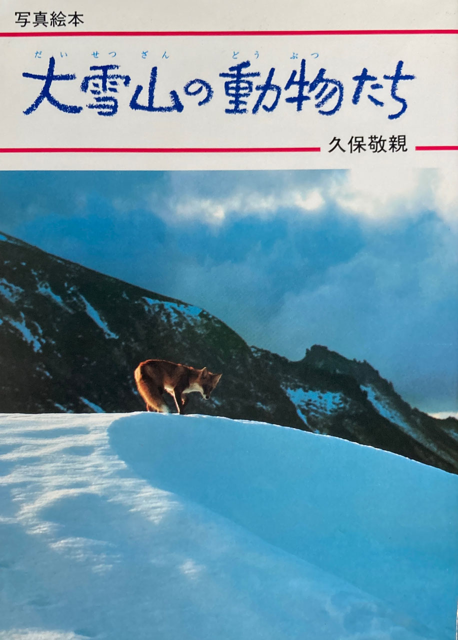写真絵本　books　newused　vintage　新刊・古書　販売・買取