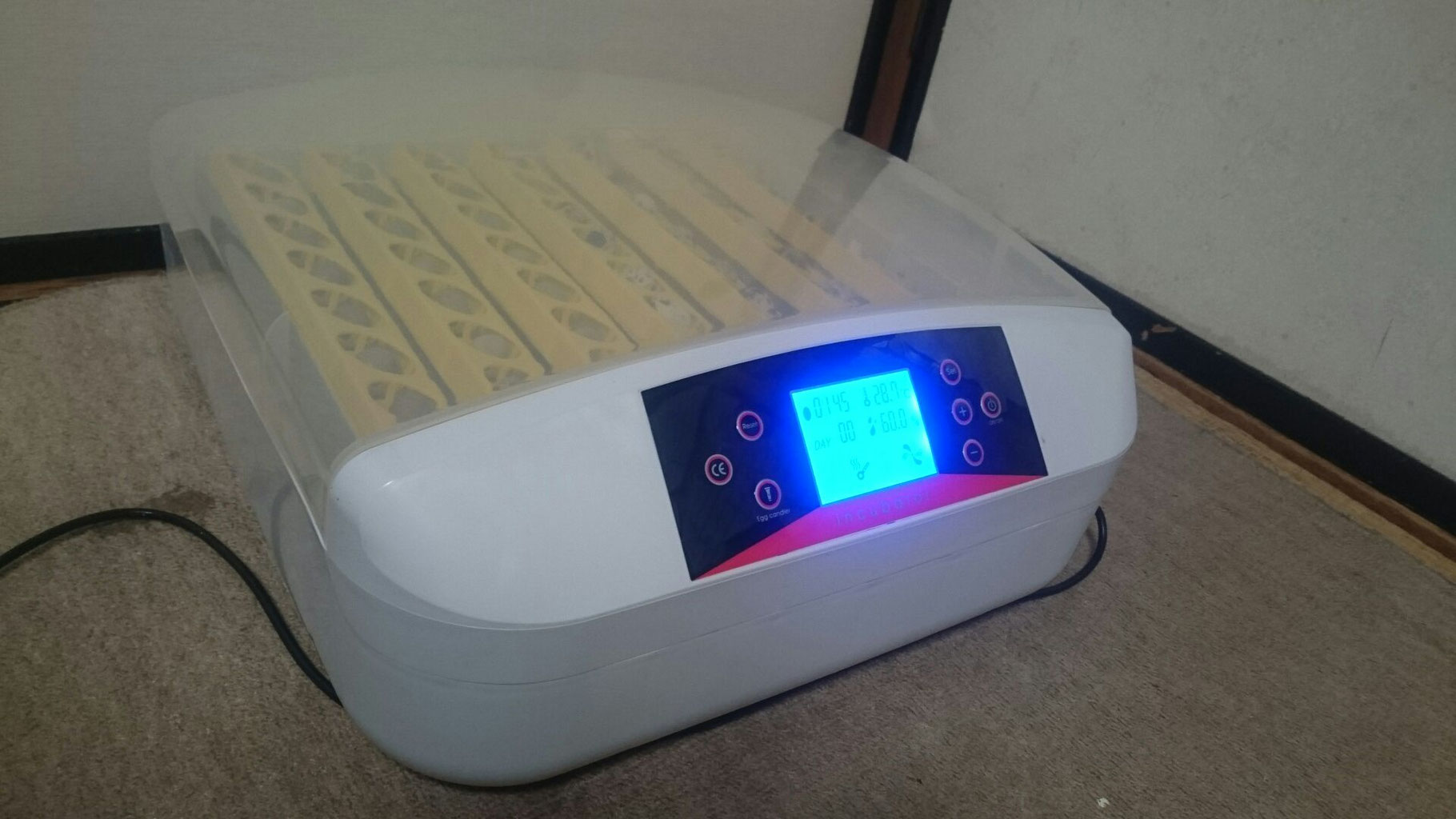 自動孵卵器56個仕様 送料700円