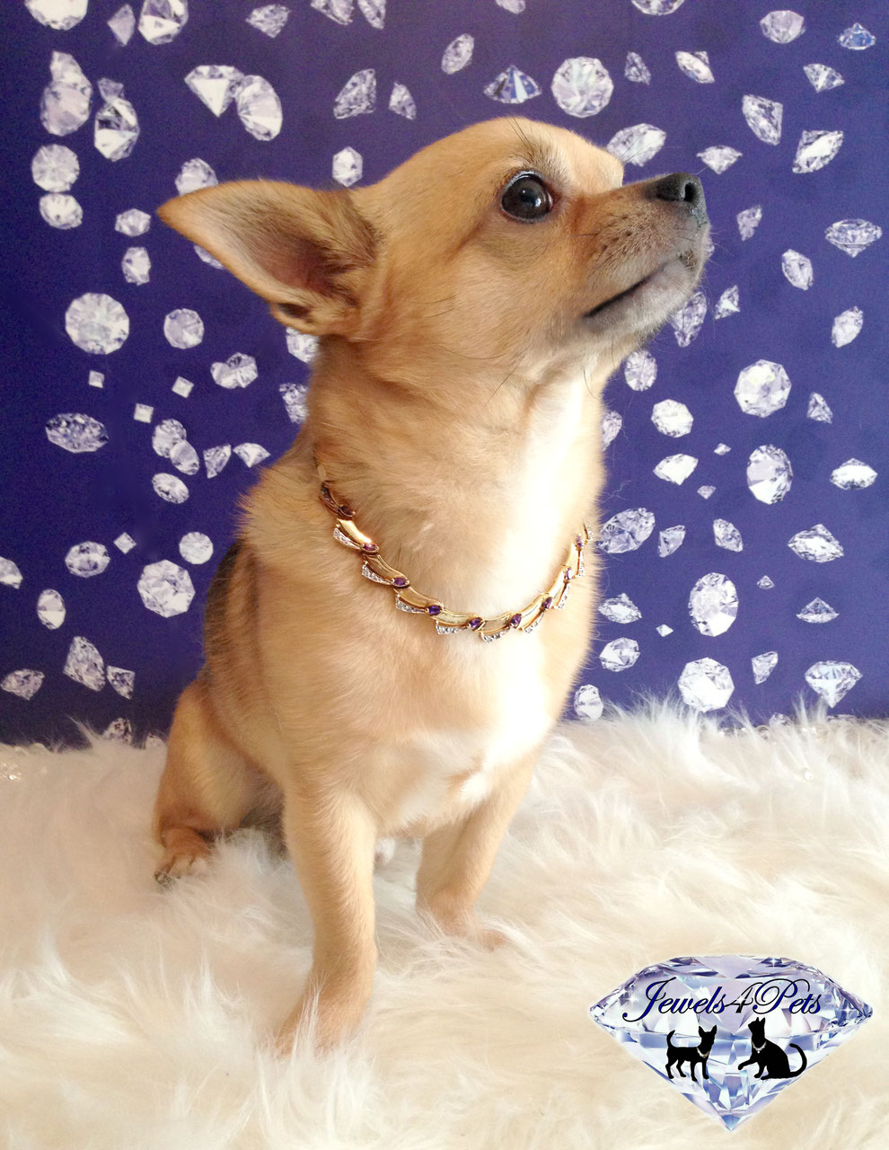 Jewels4Pets dog necklace Monaco multi colour crystal dog collar strass dog jewelry adjustable size 7-12 inch SML dog wedding jewelry