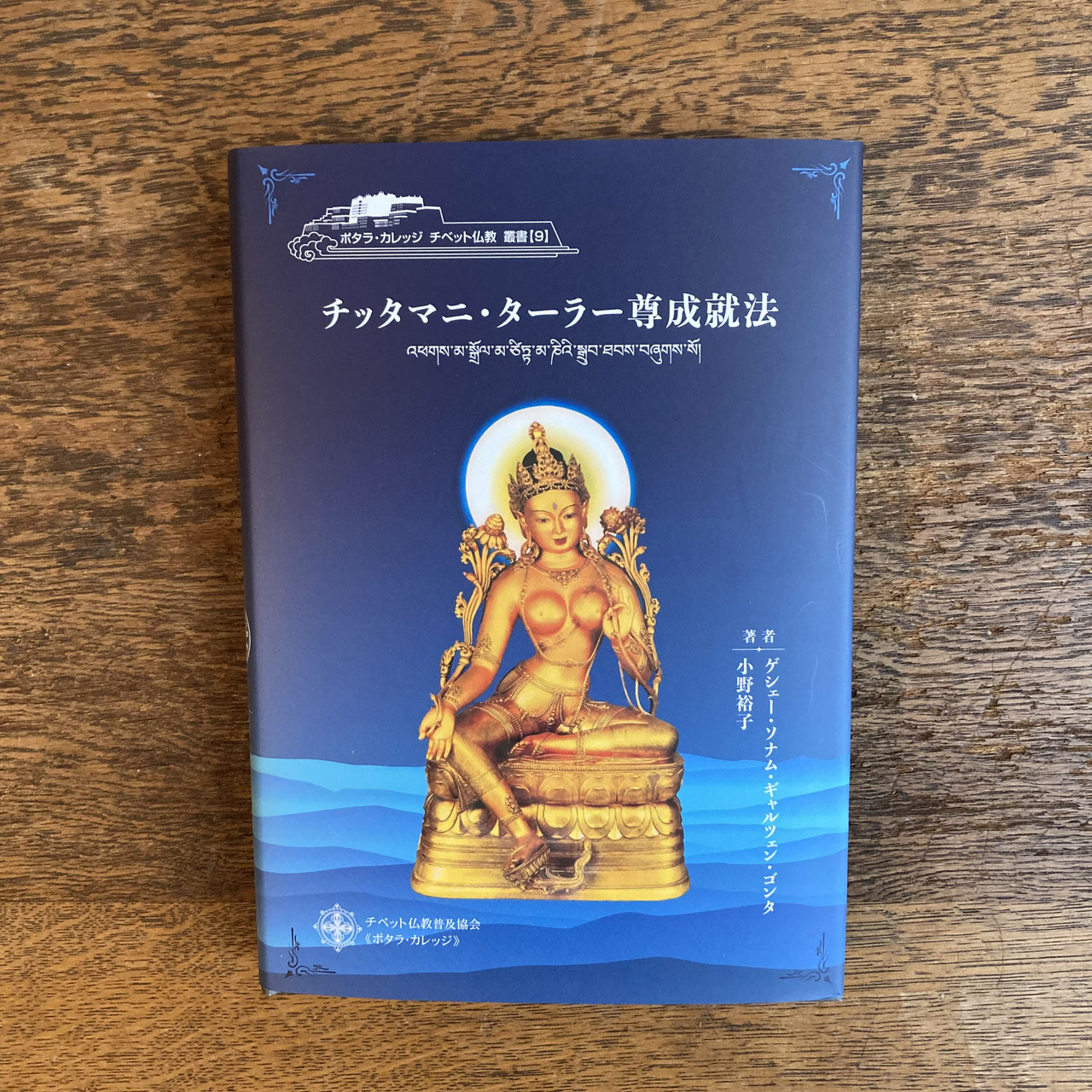 チベット仏教・菩薩行を生きる : 精読・シャーンティデーヴァ