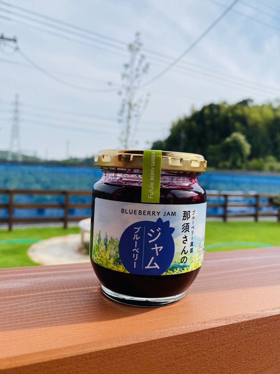 超希少秀品 高級採れたて 新鮮生ブルーベリー 5点限定特別セール