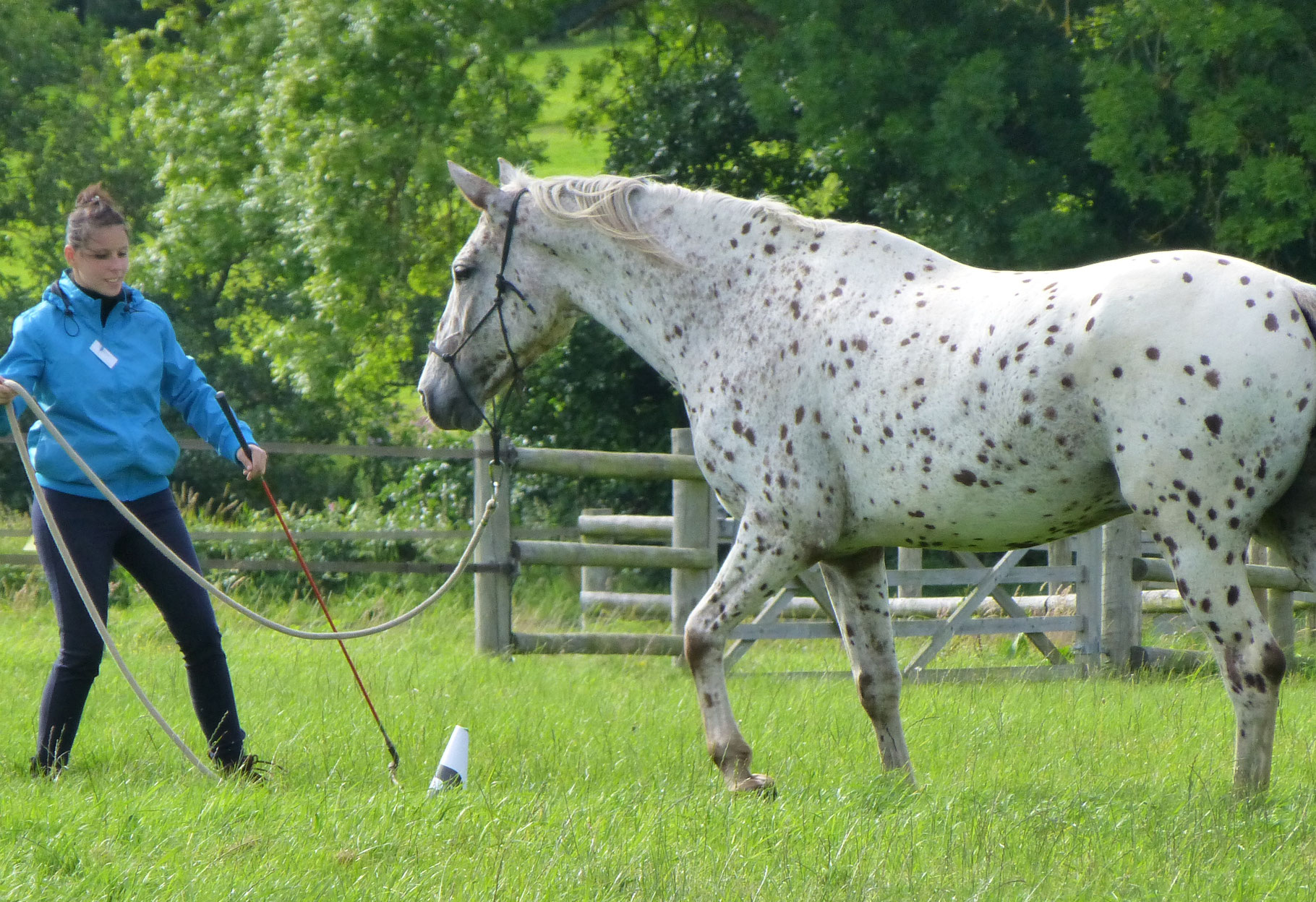 level-2-courses-and-camps-senior-instructor-rachael-shawyer-parelli