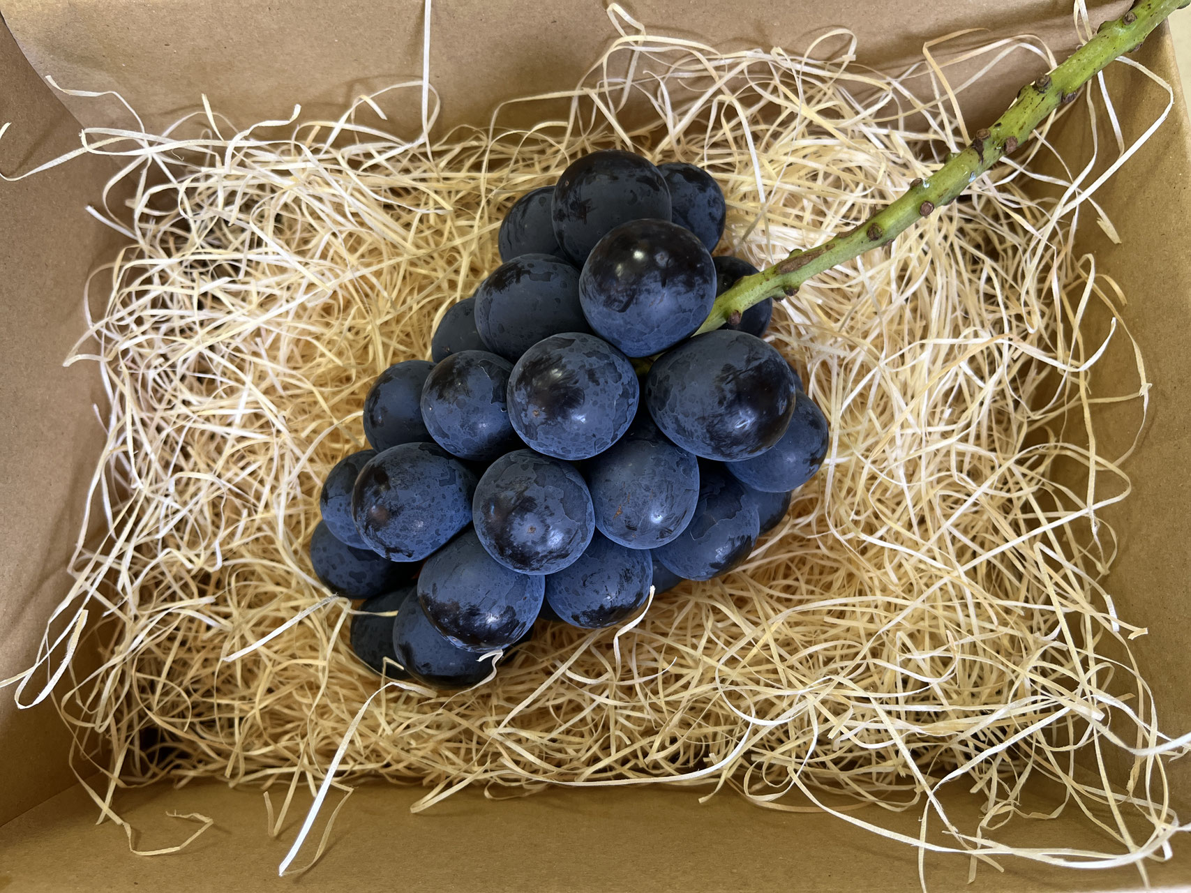 OnLineSHOP Closed for the season! - TERROIR MIYASON