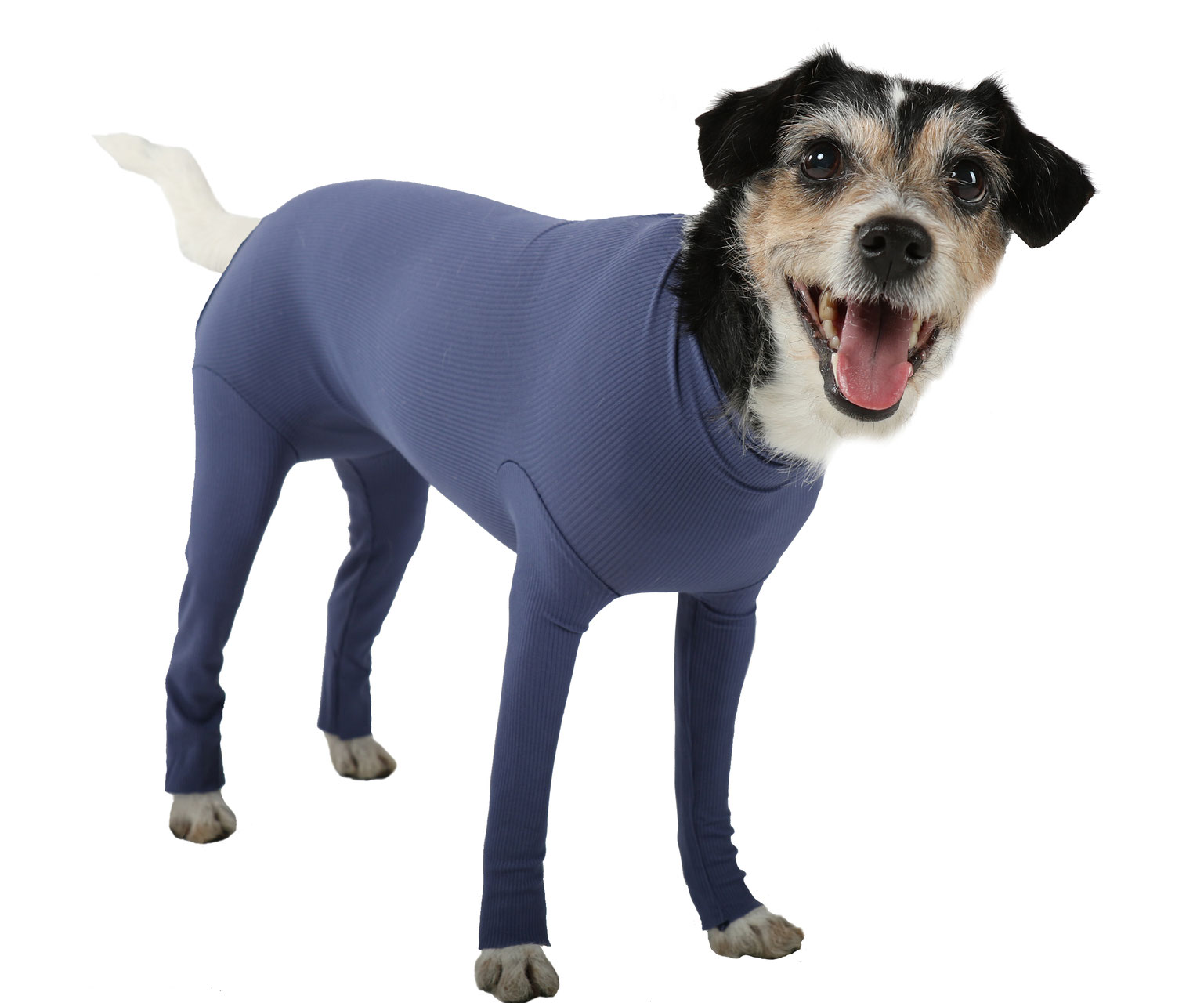 Op Body Hund