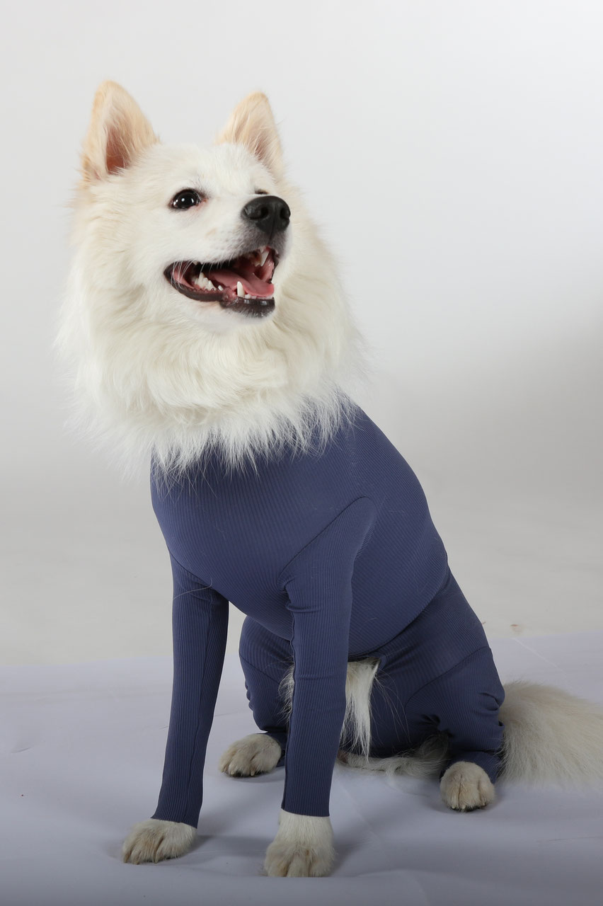 Vetmedcare Dog Cat Body Mit 4 Beinen Rude Die Alternative Zur Halskrause Trichter Vetmedcare Die Alternative Zur Halskrause