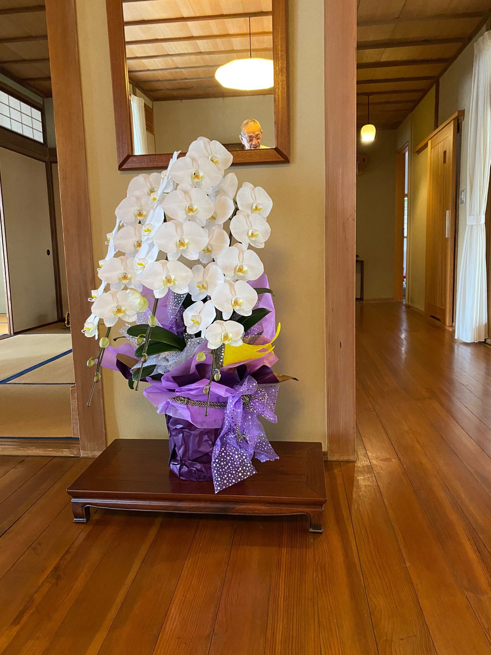 胡蝶蘭 - 花鶴生花店 久留米市 フラワーショップ 胡蝶蘭 - 花鶴生花店 久留米市 フラワーショップ