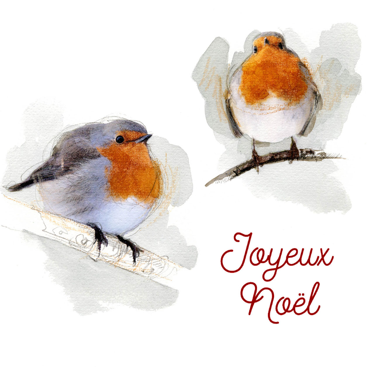 Carte De Noël - Maman Et Papa - Rouges-gorges Sur Le Sapin