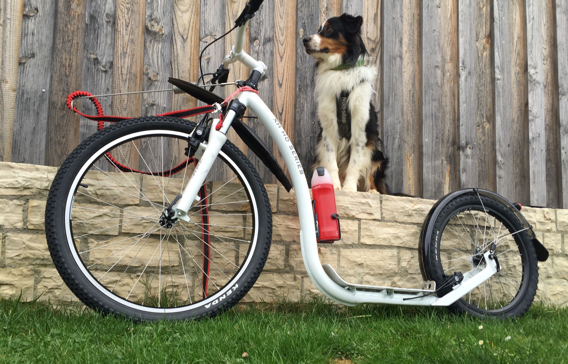 2 jahre kinder fahrrad mitnehmen mieten