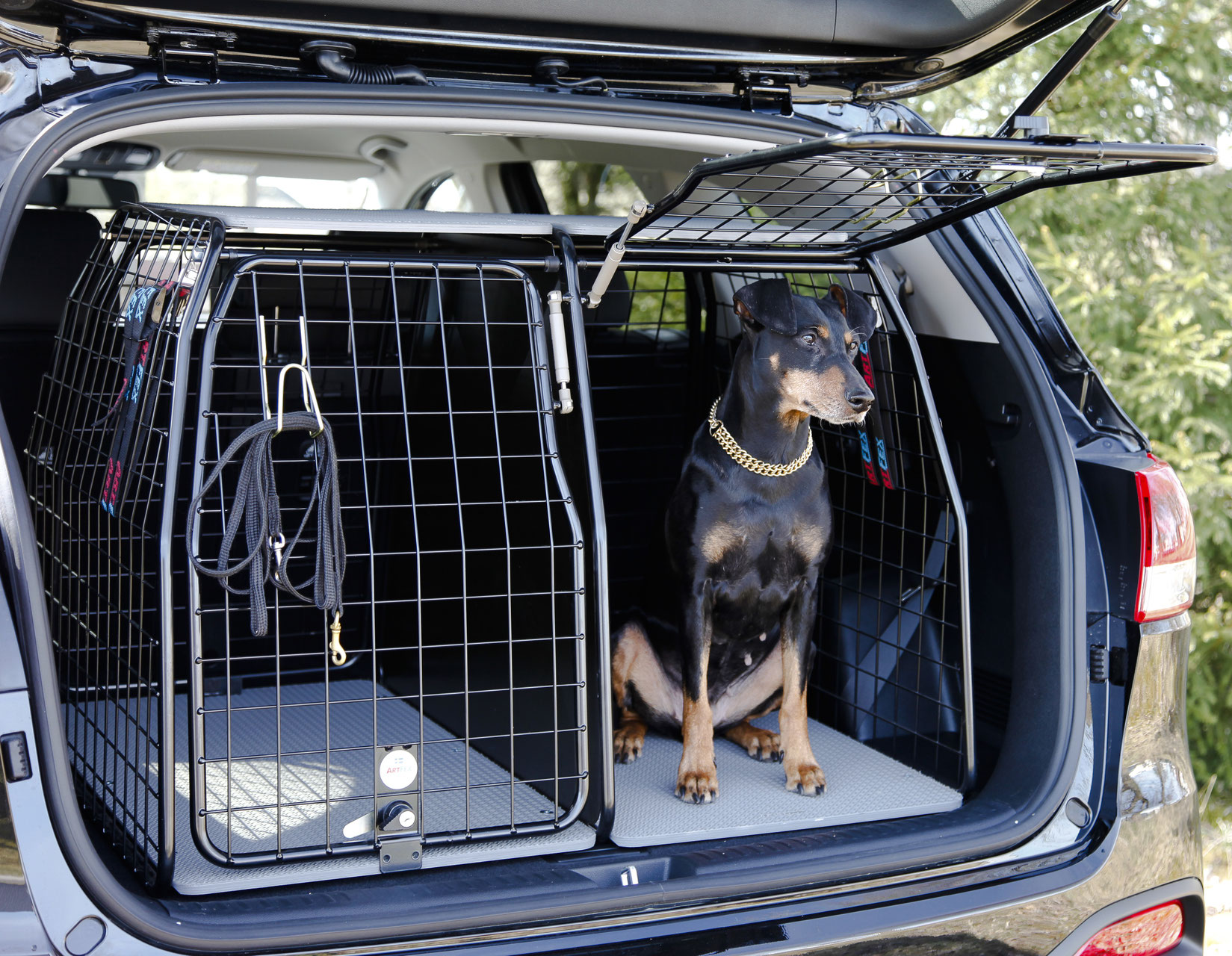 Hundebox Double Hund im Auto