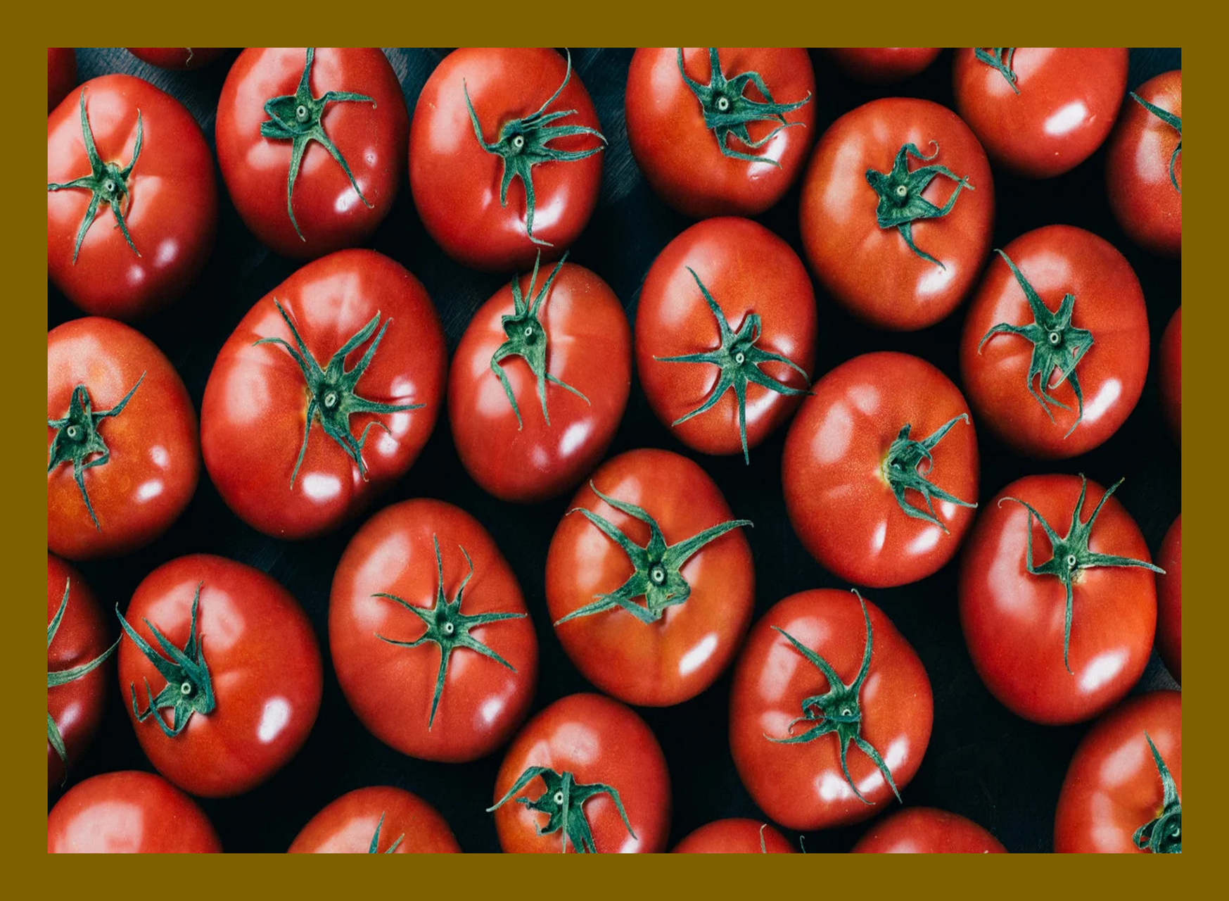 望月とまと の ご購入 - フルーツトマトと桃の望月農園