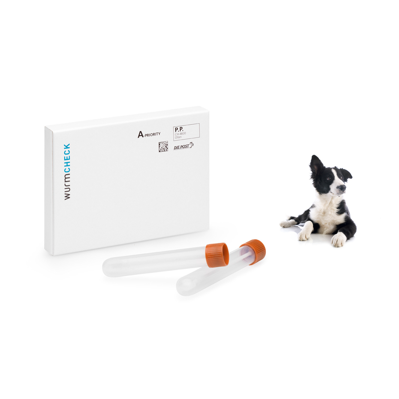wurmCHECK Hund AnimalHealth Rahel Pfammatter