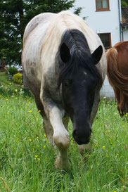 klick auf das Bild!
