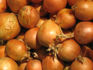 Zwiebeln