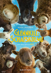 Glennkill: Ein Schafskrimi (Komödie) | DO 4. / Fr. 5. und So. 7. Juni um 20.30 Uhr / Samstag, 6. Juni als «Strickkino» um 18 Uhr