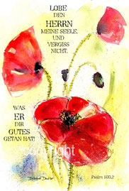 Mohnblumen