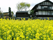 スローライフ田舎暮らしに花が咲く