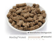 MaxiDog Krokett Alleinfuttermittel - Reico's Allroundfutter für Hunde
