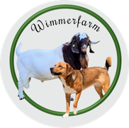 Züchter für Burenziegen -Boer Goat  -in Österreich