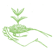 Illustration Héloïse Cuny