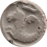 Zeepaard