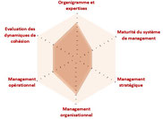 Le diagnostic organisationnel permet une évaluation de processus.