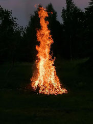 Latvian midsummer bonfire with forest in backgroumd