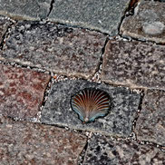 Bronze scallop shell embedded  in paving at the entrance to Riga's St. James's Catholic Cathedral symbolizing the starting point of pilgrimages to Santiago de Compostela in Spain