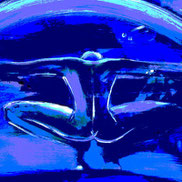 Logo, gerhard marquard, mann, blaue farbe, flieger