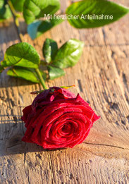 Trauerkarte Rote Rose, Trauerkarte Rose, Trauerkarte Rosen